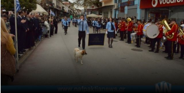 Σκυλάκι έκανε παρέλαση στην Ναύπακτο και πέρασε καμαρωτό μπροστά στους επισήμους - Βίντεο