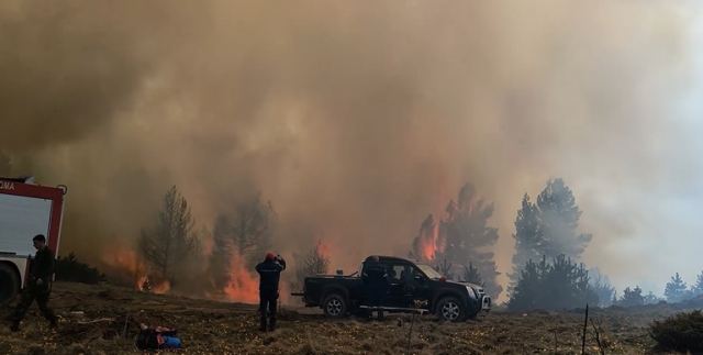 Φωτιά στα Πιέρια Όρη: Έχουν απομείνει μικρές διάσπαρτες εστίες – Κάηκαν 2.500 στρέμματα