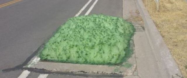 Τι είναι αυτός ο πράσινος αφρός που ξεπήδησε από φρεάτιο;