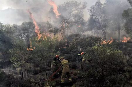 Πυροσβεστική: 61 πυρκαγιές εκδηλώθηκαν μέσα σε 24 ώρες
