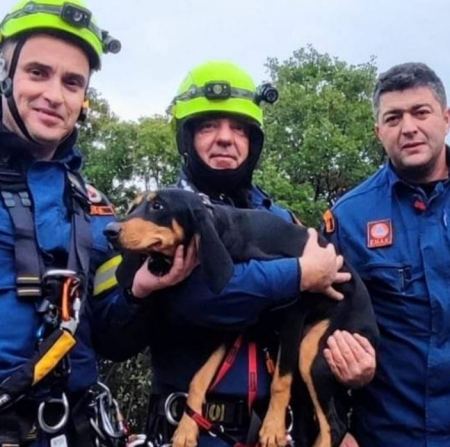 Διέσωσαν σκυλίτσα οι πυροσβέστες της 7ης ΕΜΑΚ