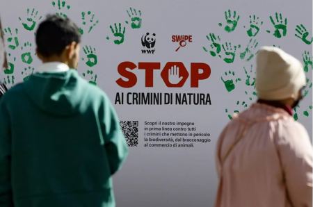 Μετά τη Greenpeace η Ρωσία κήρυξε «ανεπιθύμητη οργάνωση» και τη WWF - Κατηγορίες για κατασκοπεία