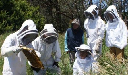 Με καπνιστήρι και μάσκες κατεβαίνουν οι μελισσοκόμοι στο κέντρο της Λαμίας