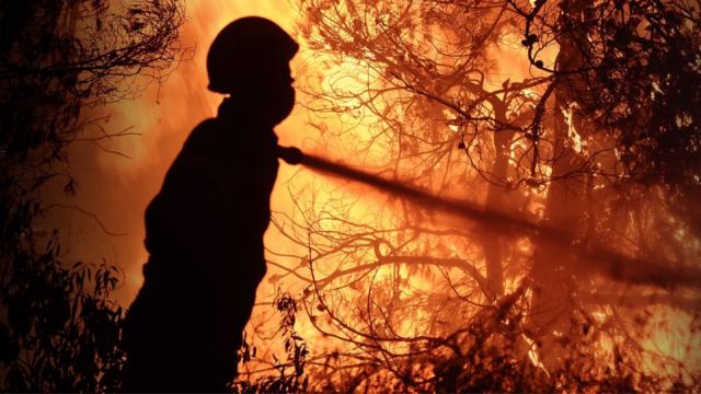 Μεγάλη πυρκαγιά σε δάσος στη Σκόπελο - Ολονύχτια μάχη με τις φλόγες