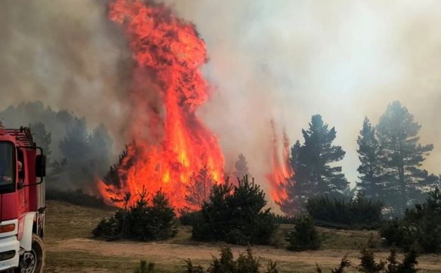 Πύρινη κόλαση στα Πιέρια Όρη: «Κατακαίγεται το πανέμορφο παρθένο δάσος, χάνουμε έναν πνεύμονα οξυγόνου» λέει ο δήμαρχος Κατερίνης
