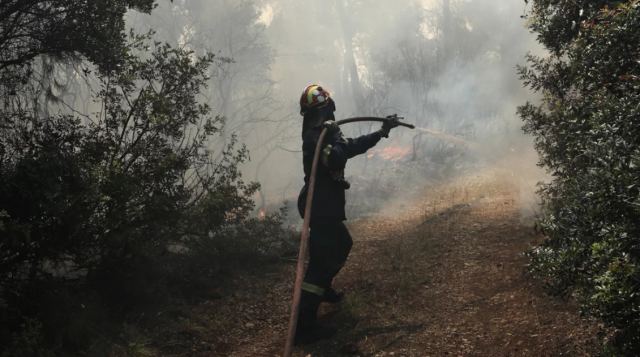 Ηράκλειο Κρήτης: Στις φλόγες για έκτη φορά το δάσος της Κερής -«Θα ενταθούν οι περιπολίες»