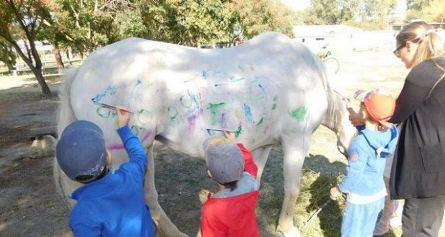Έβαλαν παιδάκια να ζωγραφίσουν πάνω σε άλογα