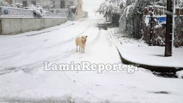 Διπλάσιο χιόνι μέσα στη Λαμία αύριο Παρασκευή