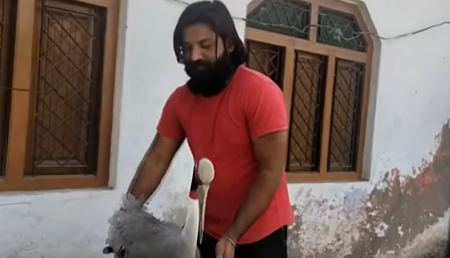 Ινδία: Αγρότης διέσωσε ένα μεγάλο γερανό - Ζητά από τις αρχές να τον απελευθερώσουν (BINTEO)