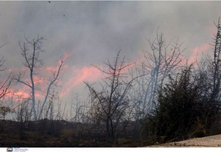 Πύρινος εφιάλτης στον Έβρο: Ενισχύεται η ένταση και η έκταση της φωτιάς