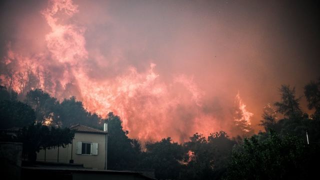Νέα πυρκαγιά στη Βόρεια Εύβοια – Δυνάμεις και από τη Φθιώτιδα