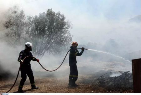 Φωτιά στα Δερβονοχώρια: Προς τη Μαγούλα κινείται το μέτωπο – Ισχυροί άνεμοι στην περιοχή