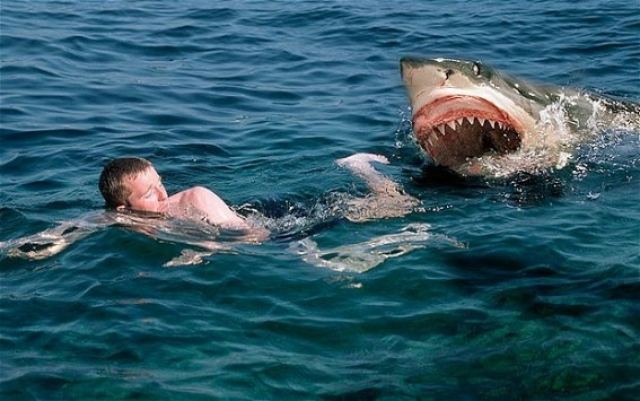 Ήταν έτοιμος να σπάσει το ρεκόρ κολύμβησης όταν εμφανίστηκε ένας τεράστιος λευκός καρχαρίας