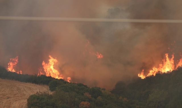 Φωτιά στην Αλεξανδρούπολη: Αγωνιώδεις προσπάθειες στο μεγάλο μέτωπο της Δαδιάς - Με ενισχύσεις από Βουλγαρία, Τσεχία, Αλβανία, Ρουμανία