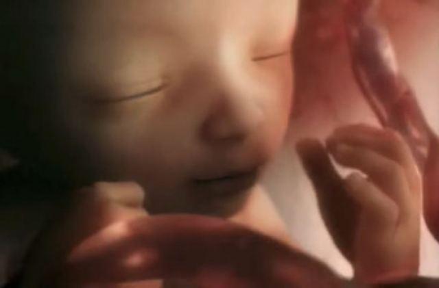 Πώς είναι μια εγκυμοσύνη: 9 μήνες σε 4 λεπτά… (VIDEO)