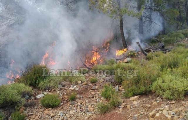 Πυρκαγιά σε χαμηλή βλάστηση στην Κάρυστο - Τραυματίστηκε πυροσβέστης