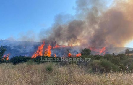 Πυρκαγιά στην Άγναντη: Επενέβησαν ισχυρές δυνάμεις της πυροσβεστικής