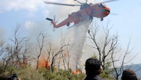 Βοιωτία: Κεραυνός έβαλε φωτιά σε δασική έκταση (ΒΙΝΤΕΟ)