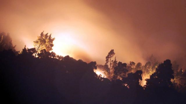 Φωτιά στη Σάρτη: Επτά χιλιάδες στρέμματα η καμμένη έκταση