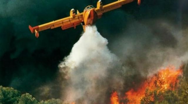Φθιώτιδα: Πυρκαγιά στην Ελάτεια
