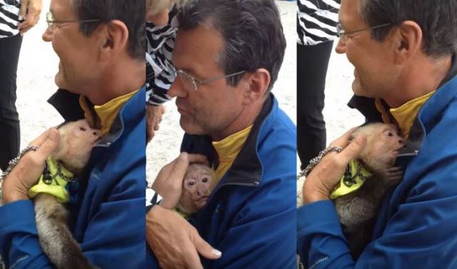 Μαϊμού κλαίει μόλις βλέπει μετά από έναν χρόνο τον άνδρα που την πρόσεχε