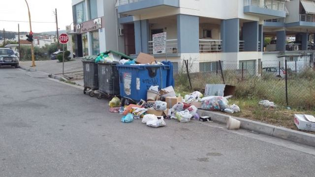 Σκουπίδια και αδέσποτα στην οδό Αμφικτυόνων στη Λαμία