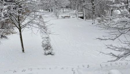 Σουηδία: Από τους 16,7 βαθμούς στο ψύχος - Τα πάντα καλύφθηκαν από το χιόνι