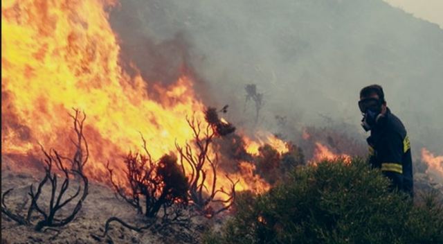 Λαμία: Συναγερμός για τέσσερις φωτιές ταυτόχρονα - Σηκώθηκαν και τα PZL