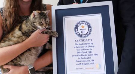 Bella: Η γάτα που μπήκε στο βιβλίο των ρεκόρ Γκίνες για το γουργουρητό της