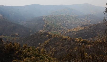Φωτιά στον Έβρο: Σε ύφεση η μεγάλη πυρκαγιά - Στάχτη 930.000 στρέμματα γης