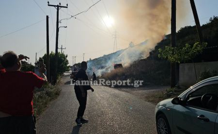 Πυρκαγιά κοντά σε σπίτια στη βόρεια πλευρά της Λαμίας - ΒΙΝΤΕΟ