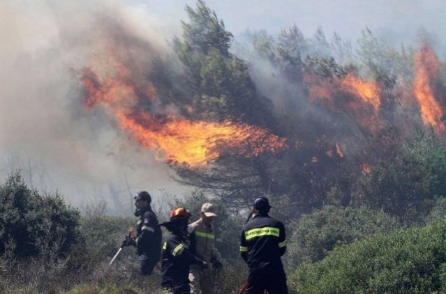 Πυρκαγιά σε δασική έκταση στο Ρεγγίνι