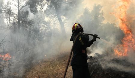 Πολύ υψηλός κίνδυνος πυρκαγιάς σε Στερεά, Θεσσαλία, Αττική, Πελοπόννησο, Δυτική Ελλάδα και νησιά