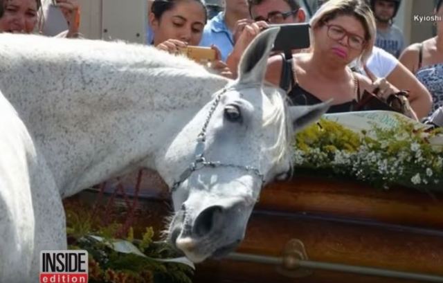 Άλογο σκύβει συγκλονισμένο το κεφάλι του στο φέρετρο του αγαπημένου του φίλου