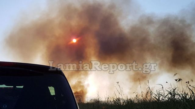 Δεν απειλεί σπίτια η πυρκαγιά στην Κάρυστο