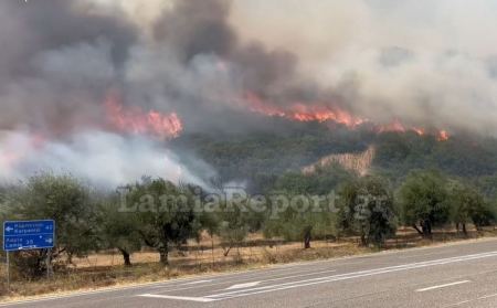 Μάχη με τις φλόγες στη Μακρακώμη (ΒΙΝΤΕΟ-ΦΩΤΟ)