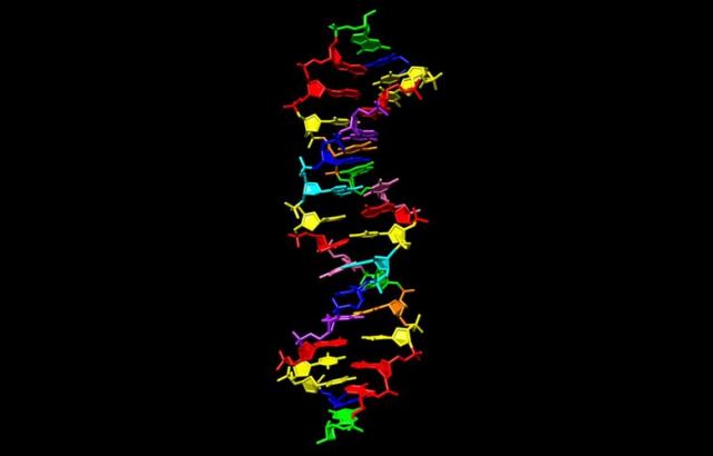 Επιστήμονες κατάφεραν να αλλάξουν τον κώδικα του DNA