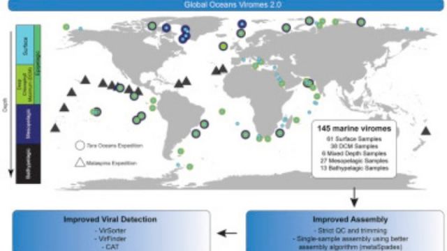 Η πιο ολοκληρωμένη «απογραφή» των ιών της θάλασσας βρήκε σχεδόν 200.000 είδη, έναντι 15.000 που ήσαν γνωστά μέχρι σήμερα