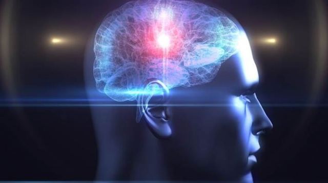 Επιστήμονας ανακάλυψε «διακόπτη» λίπους στον εγκέφαλο