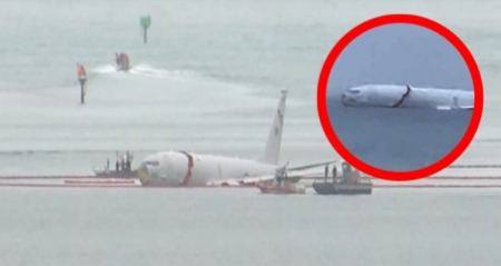 Αεροπλάνο ξέφυγε από τον διάδρομο προσγείωσης και κατέληξε στη θάλασσα: Από τύχη δεν τραυματίστηκε κανείς (ΒΙΝΤΕΟ)