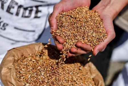 Η Ουκρανία «δεν είναι αισιόδοξη» πως θα ανανεωθεί η συμφωνία για την εξαγωγή σιτηρών