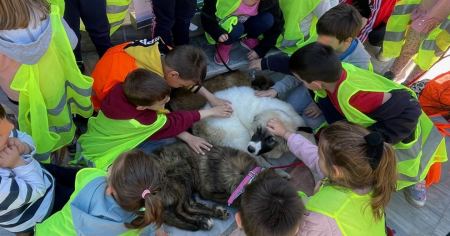 Ο Δήμος Λαμιέων γιόρτασε την Παγκόσμια Ημέρα Αδέσποτων Ζώων (ΦΩΤΟ - ΒΙΝΤΕΟ)