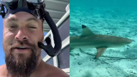 Τζέισον Μομόα: Ο διάσημος ηθοποιός κολύμπησε δίπλα σε καρχαρίες στέλνοντας ένα ξεχωριστό μήνυμα