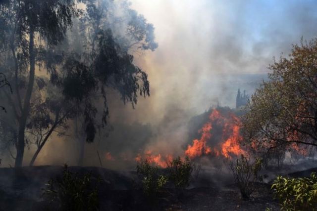 Φωτιά Αχαϊα: «Προσπάθησαν να κάψουν το χωριό μας - Είδαν τον εμπρηστή μέσα στο σκοτάδι»