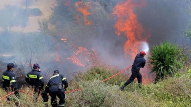 Ανεξέλεγκτη η μεγάλη φωτιά στην Κάρυστο - Έκαψε σπίτια - Μάχη με τις φλόγες!