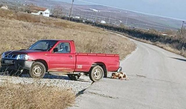 Συνελήφθη ο ασυνείδητος οδηγός που έσερνε το σκύλο με το αγροτικό του