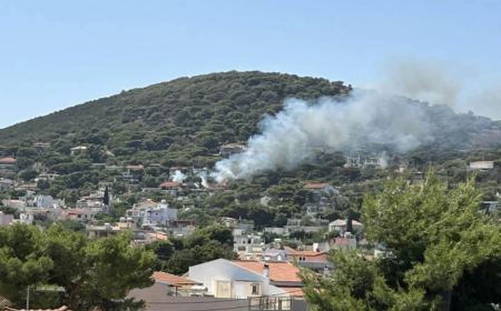 Φωτιά κοντά σε σπίτια στην Αρτέμιδα - Επιχειρούν από αέρος δύο ελικόπτερα