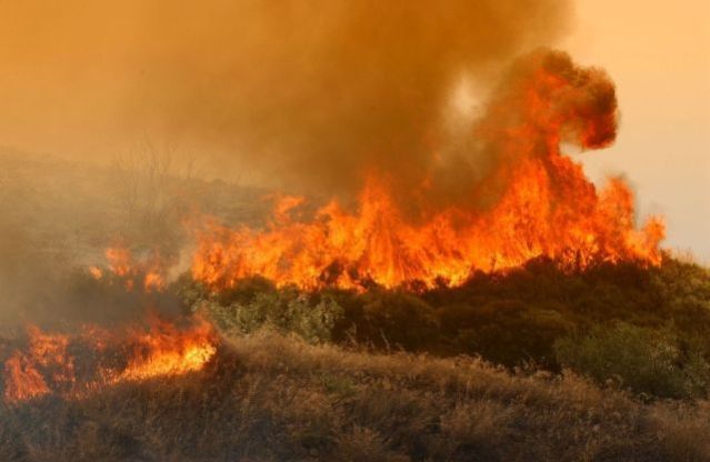 Συναγερμός για πυρκαγιά στα σύνορα Φθιώτιδας - Βοιωτίας