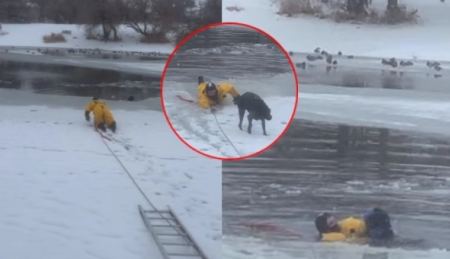 Η συγκλονιστική στιγμή που πυροσβέστες σώζουν σκύλο που είχε παγιδευτεί σε παγωμένη λίμνη (ΒΙΝΤΕΟ)