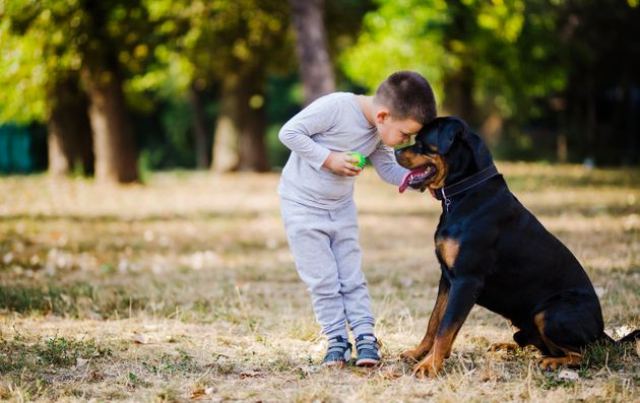 Κινδυνεύουν τα παιδιά από τους σκύλους της οικογένειας; Εκπαιδευτής σκύλων δίνει την απάντηση